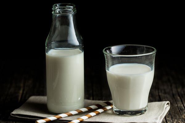 Какое коровье молоко полезнее? | tanyacook.ru