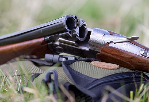 Выбор ружья для начинающего охотника | tanyacook.ru